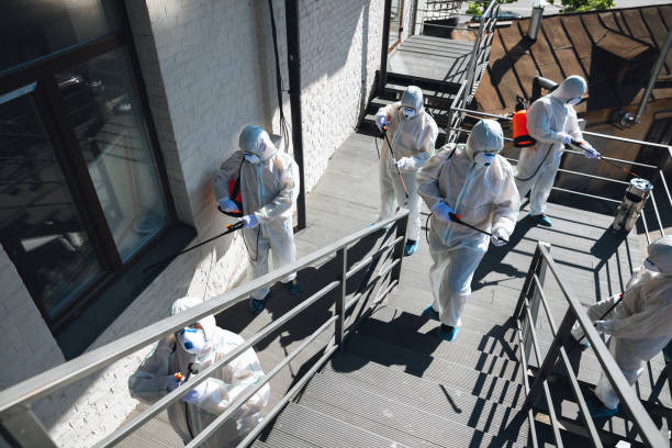 Best Airborne Mold Testing  in Agler Beach, FL