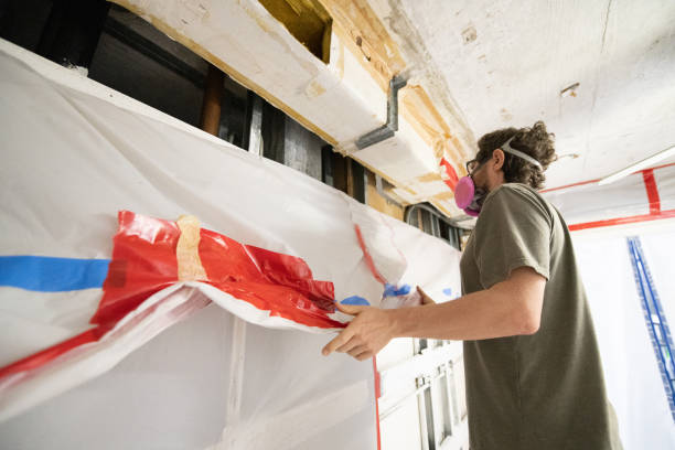 Best Emergency Mold Remediation  in Agler Beach, FL