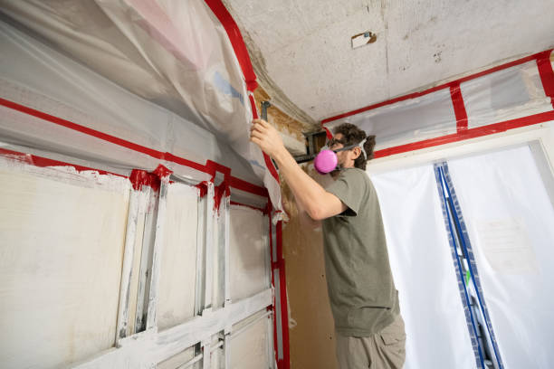 Best Commercial Mold Inspection  in Agler Beach, FL
