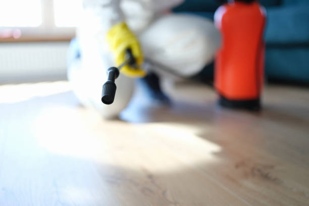 Best Mold Removal for HVAC Installations  in Agler Beach, FL