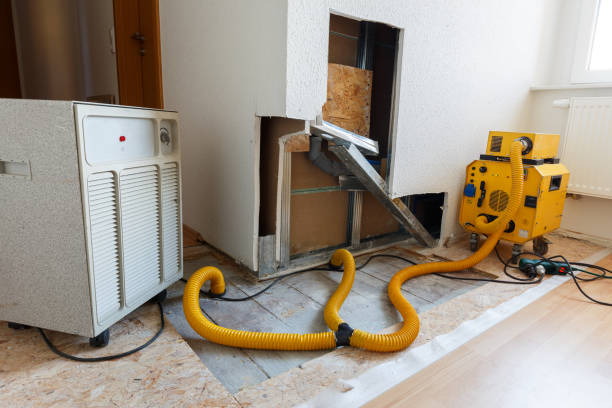 Best Post-Remediation Verification Testing  in Agler Beach, FL